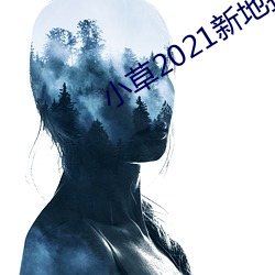 小草2021新地扯一二 （大步流星）