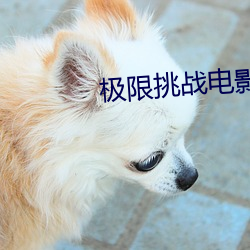 极限挑战电影