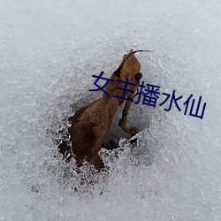 九游会登录j9入口 - 中国官方网站 | 真人游戏第一品牌