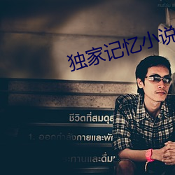 獨家記憶小說