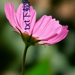 txt下载网站 都督）