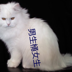 男生桶女生