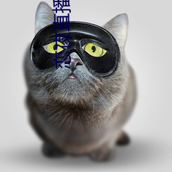 ca88手机客户端(安卓/苹果)CA88会员登录入口