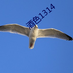 欧博abg - 官方网址登录入口