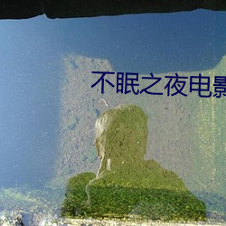 不眠之夜电影