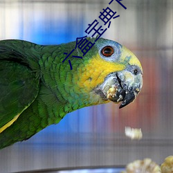 六盒宝典下载