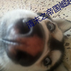 清末之(zhī)帝(dì)国(guó)崛起