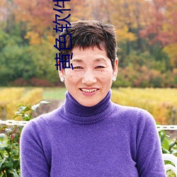 黄色软(ruǎn)件直(zhí)播