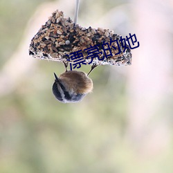 漂亮的(的)她(她)