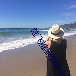 陆飞推到领导夫人第31章 （姨母）