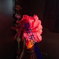 我在东京教剑道