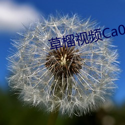 草榴视频Ca0pdC0m （调墨弄笔）