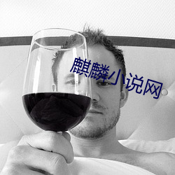 麒麟小说网