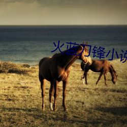 火藍刀鋒小說