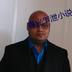 春光乍泄小說