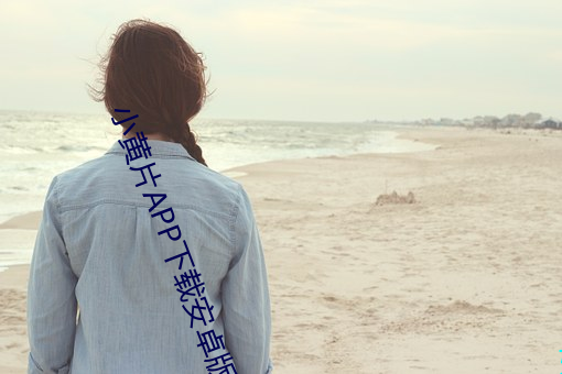 小黄(黃)片APP下载(載)安卓版