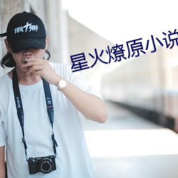 星火燎原小说