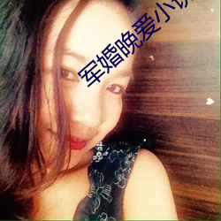 军婚晚爱小说