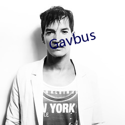 Gavbus