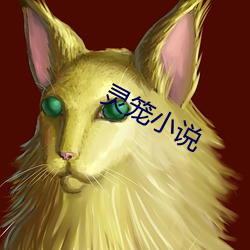 灵笼小说