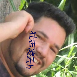 壯志淩雲h