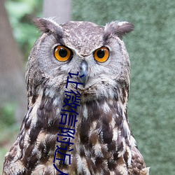 让微信附近人主动加你