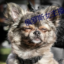 俄罗斯(斯)女主播