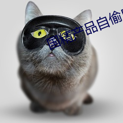 国精产品自偷自2023