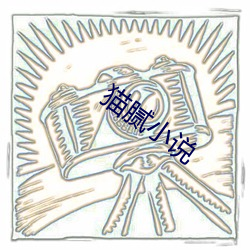 猫(貓)腻小(小)说