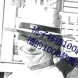 桃子移植100款黄油游戏手游(桃子移植的1000款黄油游戏)