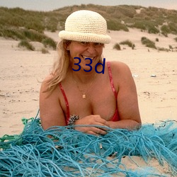 33d