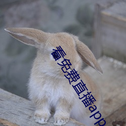 鸿运国际·(中国)会员登录入口