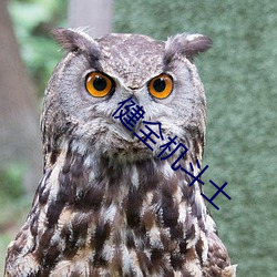 健全机(jī)斗士
