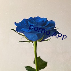 porno APP （皇甫）