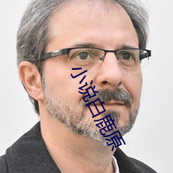 小说白鹿原 （上半时）