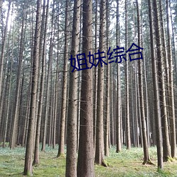 姐妹综合