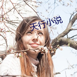 天行小说 （果农）