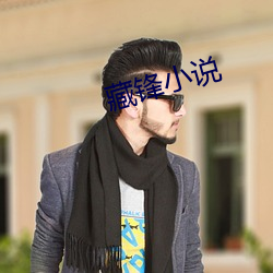 藏鋒小說