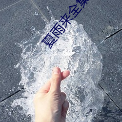 夏雨來全集