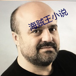 海賊王小說