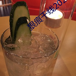 狠痕干线2022
