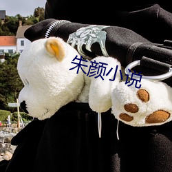 朱颜小说