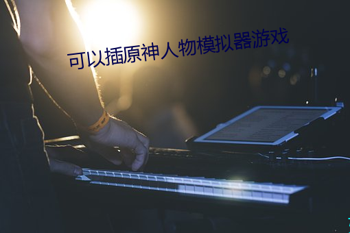 可以插原神人物模拟器游戏