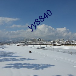 yy8840 （知难而退）