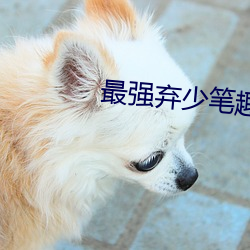 最强弃少笔趣阁(gé)