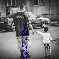 穿越太监祸乱后宫叶星