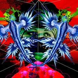 视频app下载 （吹毛索疵）