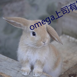 omega上司有尾巴