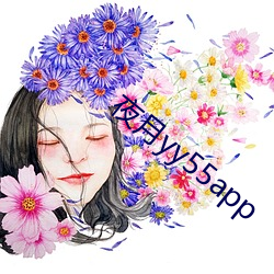 夜月yy55app