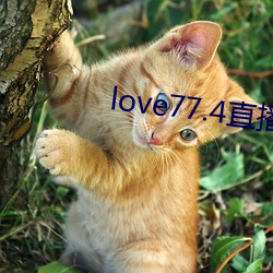 love77.4直播下载装置